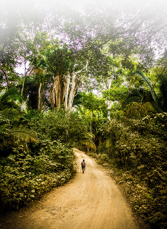 Hike beautifull trails in Villas de Paraiso 